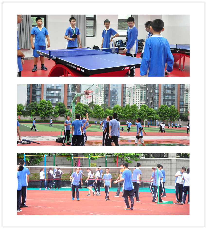 乒1.jpg