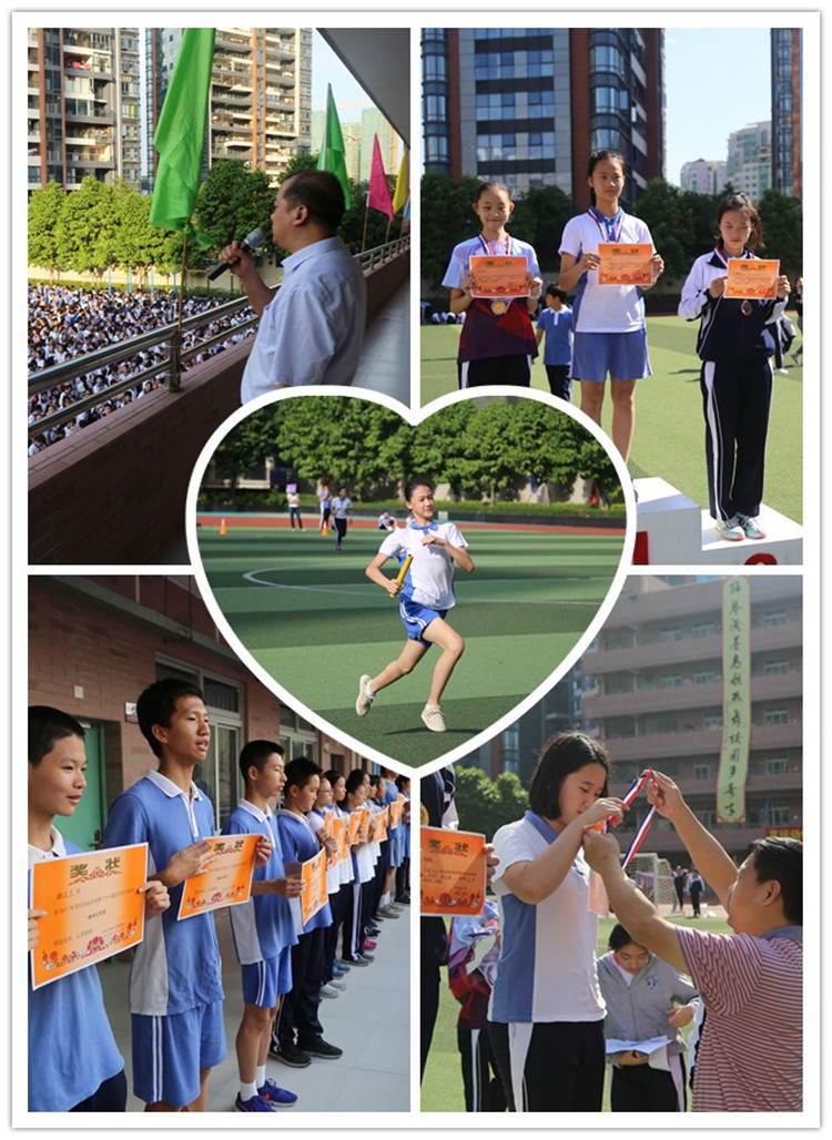 体育4.jpg