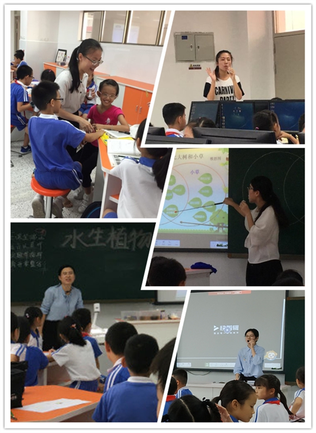 图片4.jpg