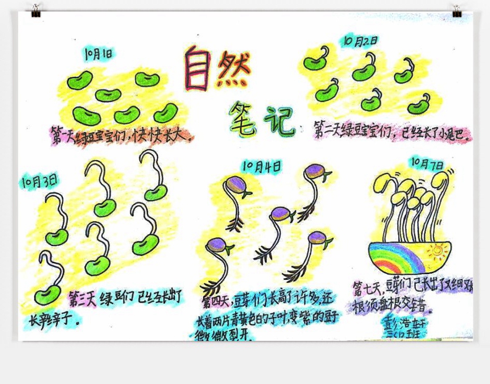QQ图片20181019122255_副本.jpg