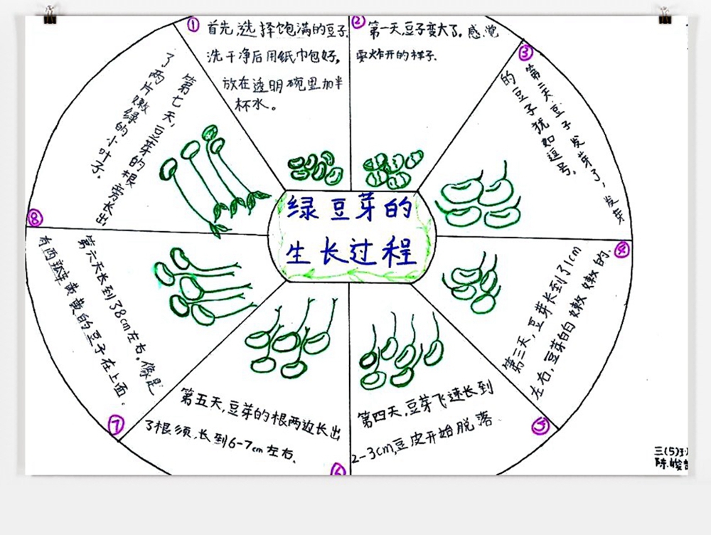 QQ图片20181019122327_副本.jpg