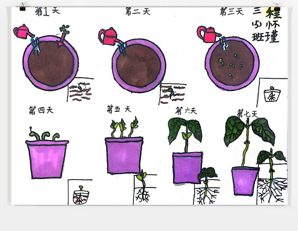 QQ图片20181019122343_副本.jpg