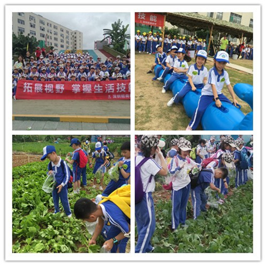 图8.jpg