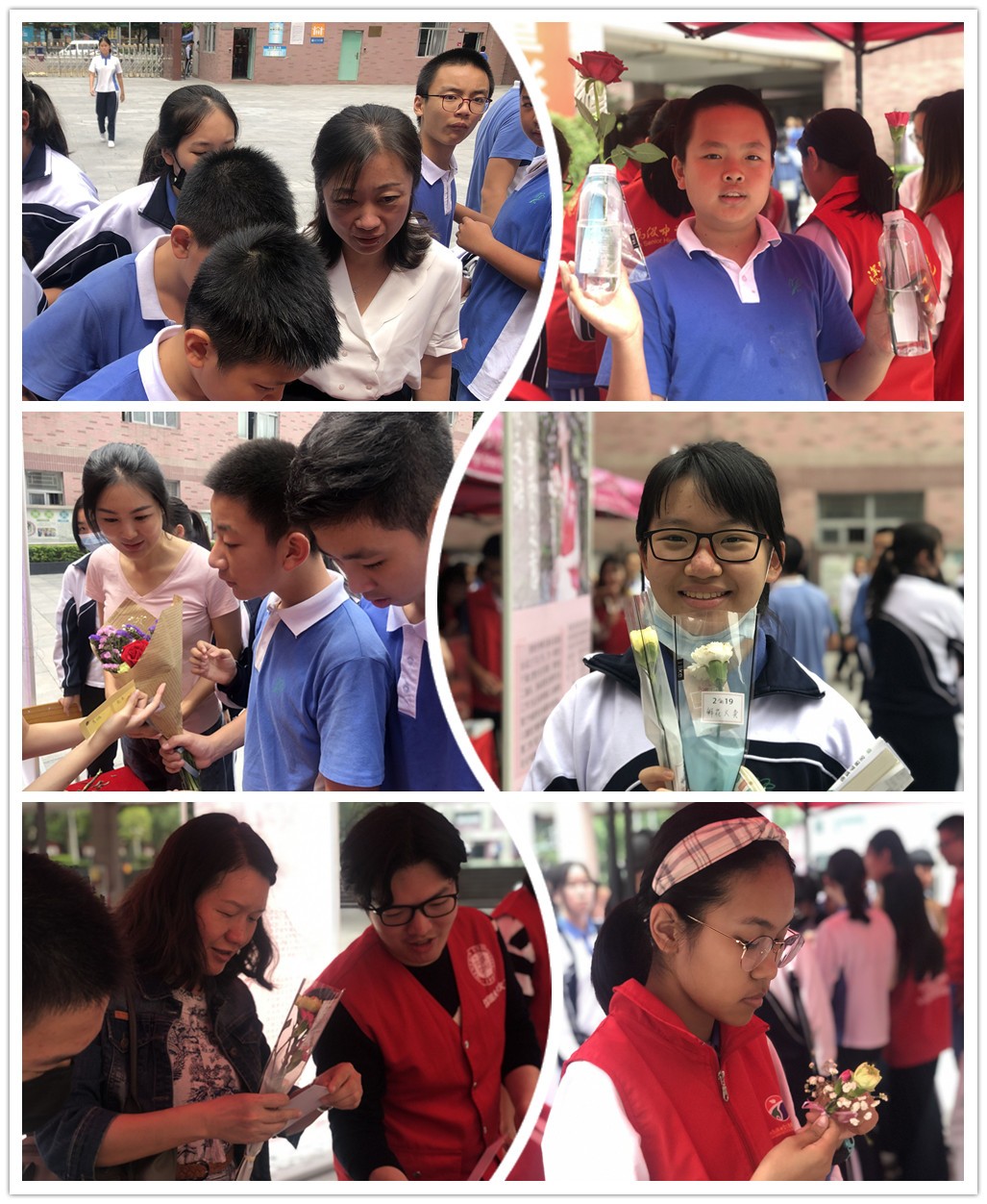 QQ图片20190517123041_副本.jpg