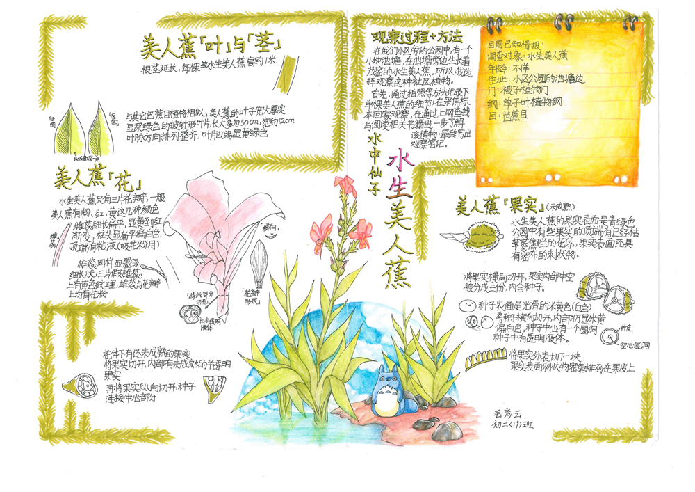 图5 .jpg