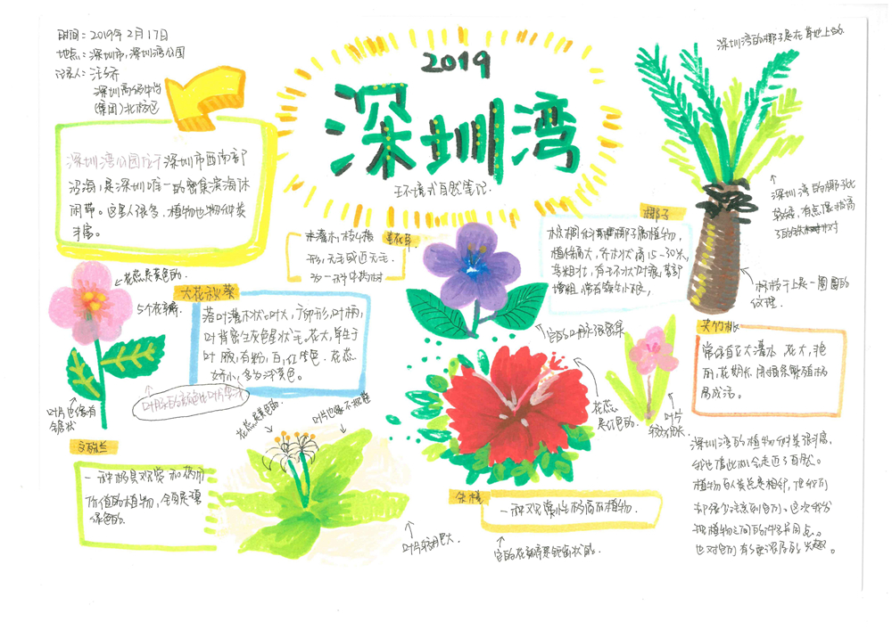 图7 .jpg