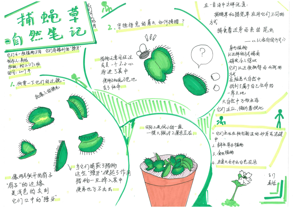 图8 .jpg