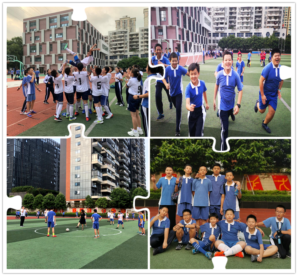 图片91_副本.png