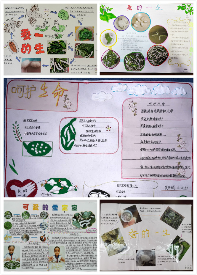 拼图3-1.jpg