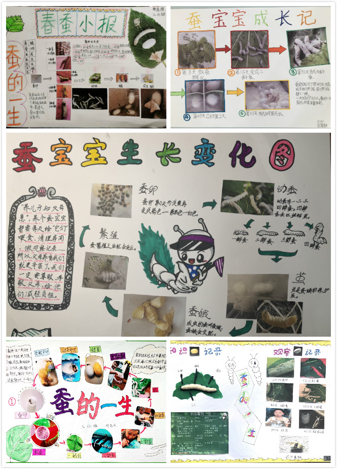 拼图3-2.jpg