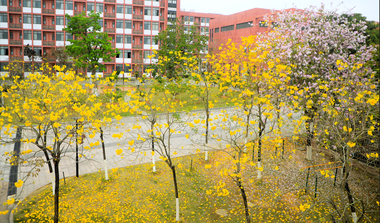 春满深高东：十景如诗，少年如画