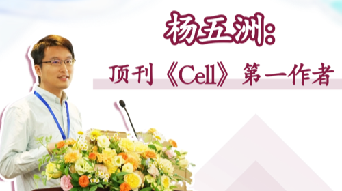 太低调！原来早有《Cell》