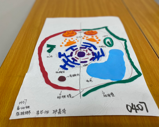 图片33.png