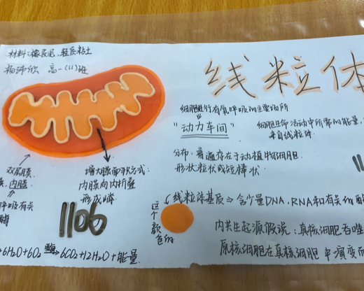 图片39.png