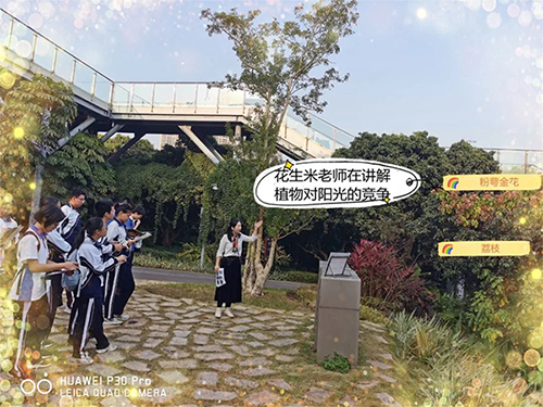 深高香蜜公园实践第三课--群落...