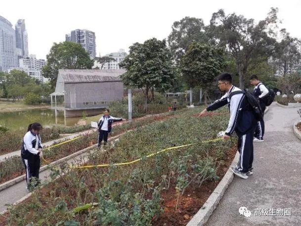图片35.png
