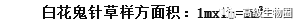 图片38.png
