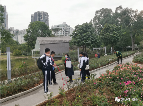 图片45.jpg