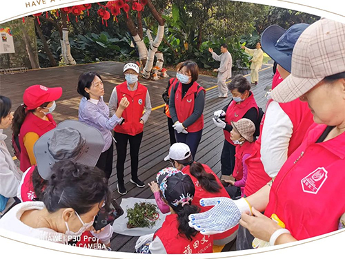 白花鬼针草，你往哪里跑？