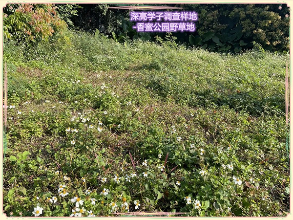 图片4.jpg