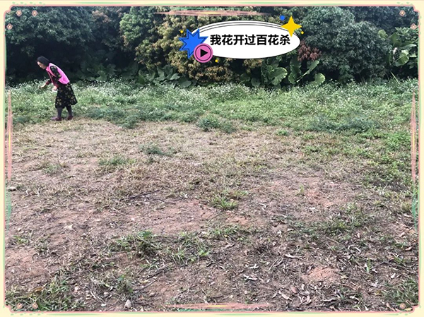 图片8.jpg