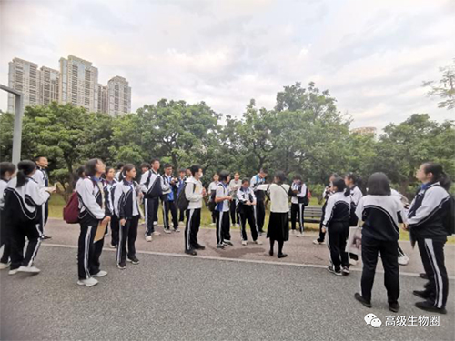 深高香蜜公园实践第二课——寓...