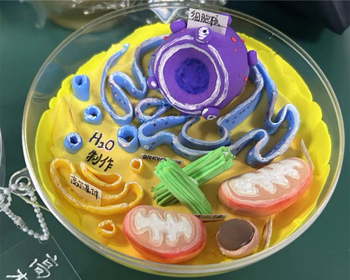 建微知著，品生命之美——生物...