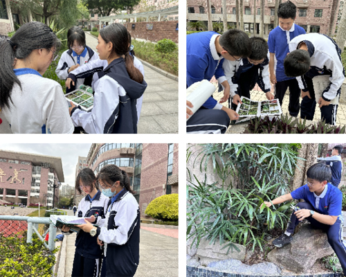执植物之笔 写岁月箴言 ——生...